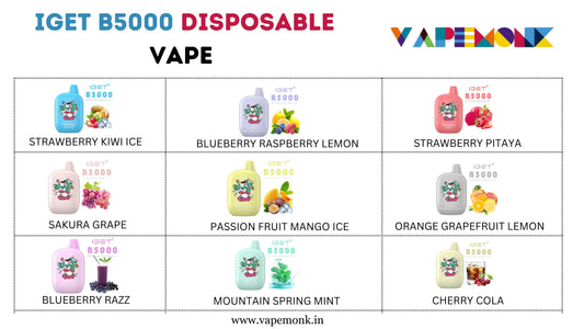 IGET B5000 Disposable Vape