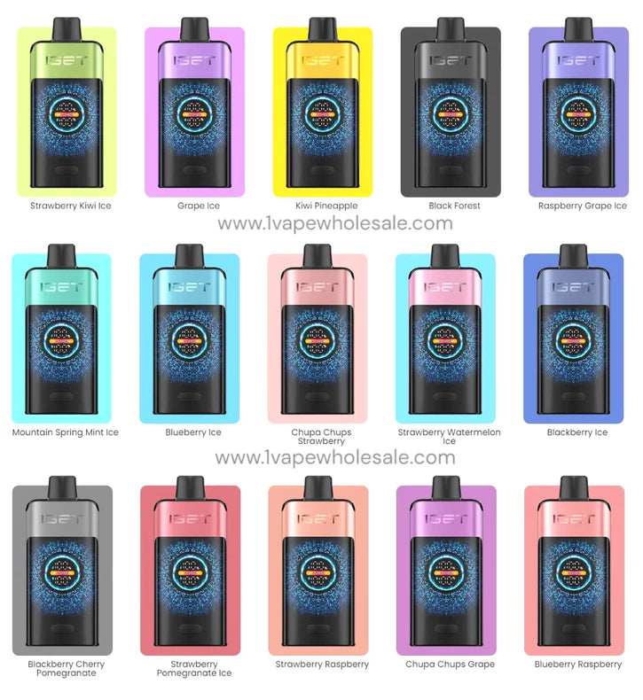 IGET ONE Disposable 12000 Puffs VapeMonk