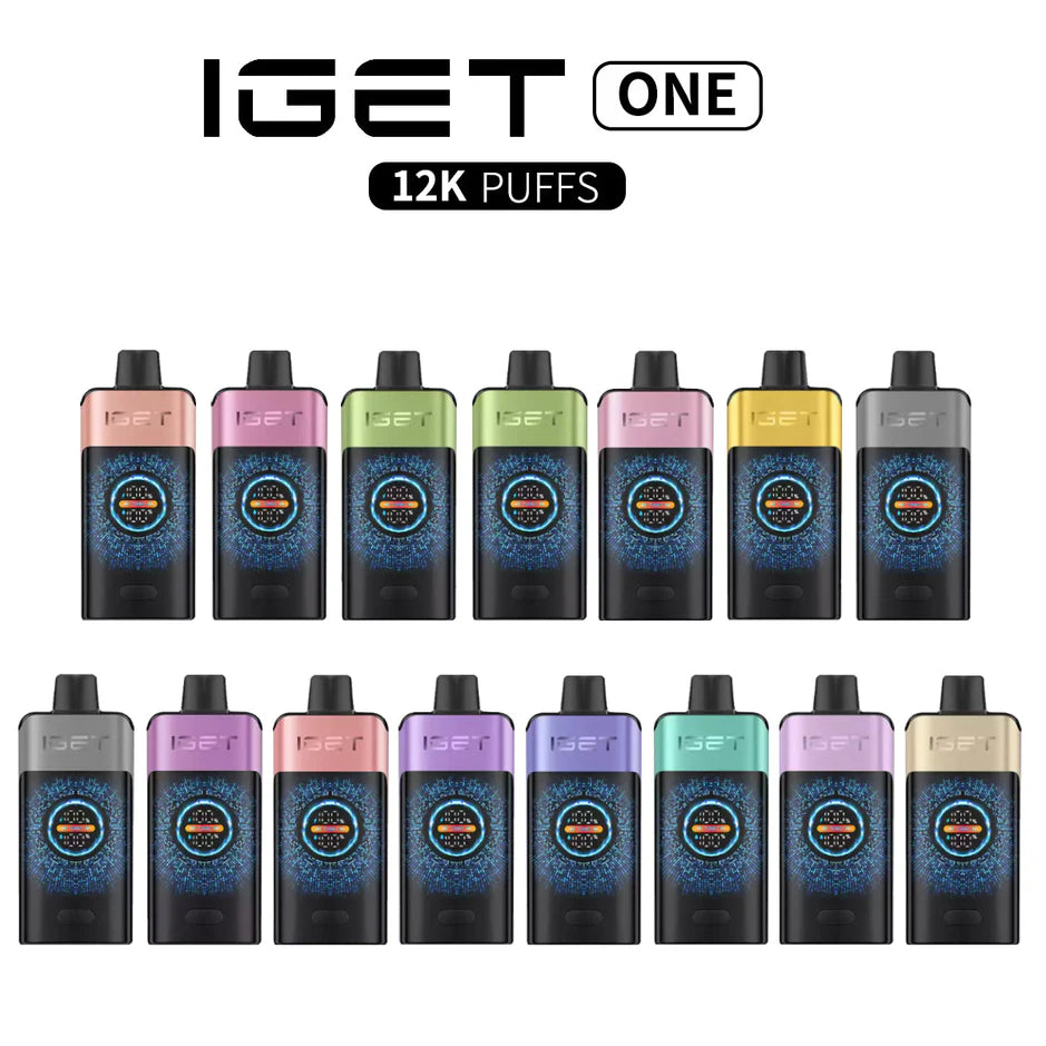 IGET ONE Disposable 12000 Puffs VapeMonk